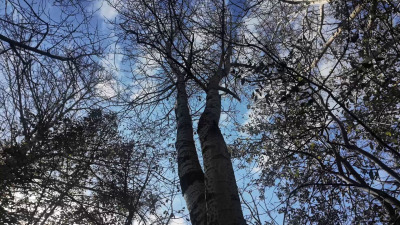 Обзор на фильм